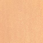 Andreia Professional Gel Polish Gellak - I Do! - ID3 Champagne nude met gouden glitters. 10.5ml