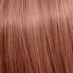 Paul Mitchell The Color 10 Permanent Color 90ml