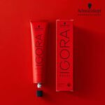 Schwarzkopf Professional Igora Royal Take Over 8-21 Koele Tinten 60ml