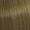 7/03 Midden Natuurlijk Gouden Blond