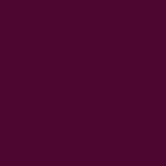 Andreia Professional True Pure Hema-vrije gellak - T41 Aubergine 10.5ml
