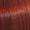 66/44. Vibrant Reds