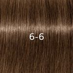 Schwarzkopf Professional Igora permanente haarkleuring ammoniakvrij 60ml 6-6