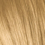 Schwarzkopf Professional Igora Vibrance Permanent Haarkleuring 60ml 9.5-5 Goud Toner