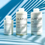 Olaplex N°.4 Bond Maintenance Shampoo 250ml