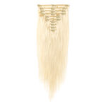 Wildest Dreams Clip-in Extensies - Volledige Hoofd Set 45cm