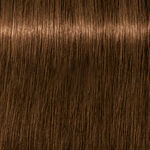 Schwarzkopf Professional Igora Royal Absolutes Permanent Haarkleuring 60ml 6-60