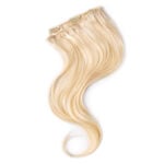 Wildest Dreams Extensions HH Clip-In 1st 18in 1 Straight