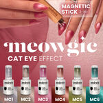 Andreia Professional Meowgic Cat Eye Effect Gel Poilsh - MC1 Zilver 10.5ml