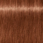 Schwarzkopf Professional Igora Royal Absolutes Permanent Haarkleuring 60ml 7-560