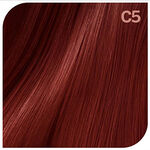 Revlon Revlonissimo Colorsmetique Reds 60ml