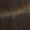 5/3 Licht Bruin Goud
