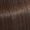 6/73. Deep Browns