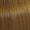 8/73. Deep Browns