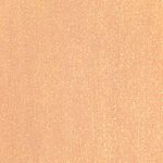 Andreia Professional Hybrid-Fusion Color Gel Nagellak-I Do!- ID3 Champagne nude met gouden glitters. 10.5ml