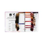 Paul Mitchell Het Demi Swatchboek Ginger Spice Kleuren