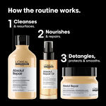L'Or&eacute;al Professionnel Absolut Repair Cadeauset Trio