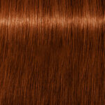 Schwarzkopf Professional Igora Royal Absolutes Permanent Haarkleuring 60ml 6-70