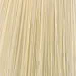 XP100 Lichte Glans Demi Permanente Haarverf 10.0 100ml