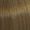 8/71 Licht As Bruin Blond