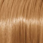 Schwarzkopf Professional Igora Royal Absolutes Permanent Haarkleuring 60ml 9-60