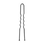 Sibel Metalen Pinnen Golvend 50mm Zwart 50 Stk