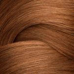 Redken Shades EQ Bonder Inside Demi-permanente haarkleuring - 06GB Toffee 60ml