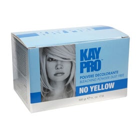 Kay Kaypro Bleaching Powder Blue 500g