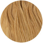 Wildest Dreams Extensions HH Clip-In 1st 18in 1 Straight