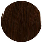 Wildest Dreams Extensions HH Clip-In 1st 18in 1 Straight