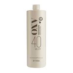 Professional by Fama Oxidant 40 Vol. 12% 1L