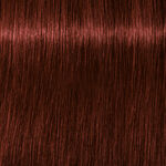 Schwarzkopf Professional Igora Royal Absolutes Permanent Haarkleuring 60ml 5-80