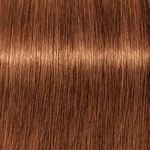Schwarzkopf Professional Igora Royal Take Over 7-76 Medium Blond Koper Chocolade 60ml
