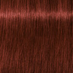 Schwarzkopf Professional Igora Royal Absolutes Permanent Haarkleuring 60ml 6-80