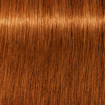 Schwarzkopf Professional Igora Royal Absolutes Permanent Haarkleuring 60ml 7-70