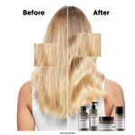 L'Oréal Professionnel Serie Expert Absolute Molecula Haarmasker met leave-in 50ml