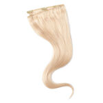 Wildest Dreams Extensions HH Clip-In 1st 46cm 1 Straight