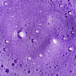 Unite Hair BLONDA Paarse Toning Shampoo 236ml