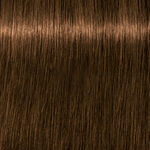 Schwarzkopf Professional Igora Royal Absolutes Permanent Haarkleuring 60ml 6-50