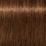 Schwarzkopf Professional Igora Royal Absolutes Permanent Haarkleuring 60ml 6-460