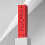 Schwarzkopf Professional Igora Royal Permanent HairColour 60ml 3-65