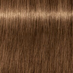 Schwarzkopf Professional Igora Royal Absolutes Permanent Haarkleuring 60ml 7-50