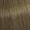 7/1 Midden Blond As