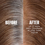 Wella Professionals Color Xpress – Vegan Xpress Touch-up Lichtblond Goud As 8/31 60ml