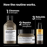 L'Or&eacute;al Professionnel Absolut Repair Molecular Cadeauset Trio