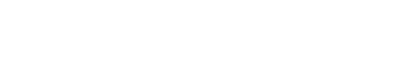 Sebastian Professional